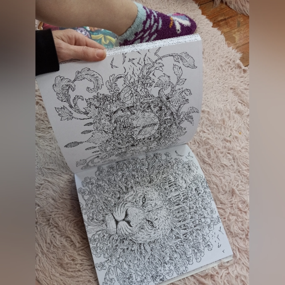 Gorgeous unused adult Coloring book! Worlds within worlds SOLD - Picture 3 of 7
